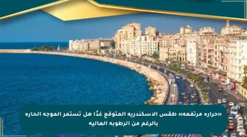 «حرارة مرتفعة» طقس الاسكندرية المتوقع غدًا هل تستمر الموجة الحارة بالرغم من الرطوبة العالية